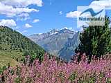 Malga e Lago Waldner (Valle Aurina)