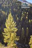 Val Trupchun, Engadina