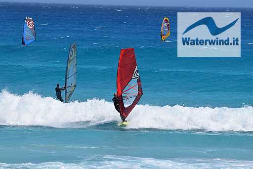 Witsand, Cape Town : image 107 sur 305