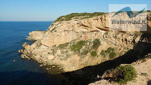 MTB: Capo Mannu: immagine 27 di 38