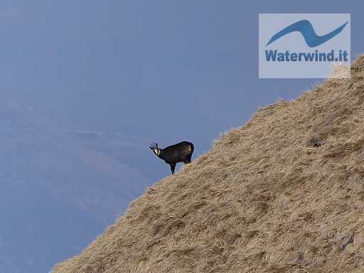Bellavista - Monte Generoso: immagine 28 di 48