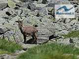 Rifugi Coca e Cur&ograve;
