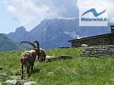 Rifugi Coca e Cur&ograve;