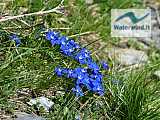 Rifugi Coca e Cur&ograve;