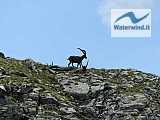 Rifugi Coca e Cur&ograve;
