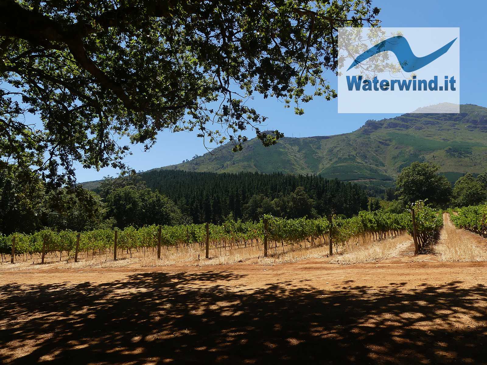 Delheim Wine Farm, Route 44, Afrique du Sud