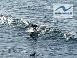 Surf, Galizia e Asturie