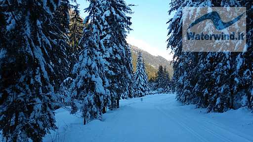 Schilpario, Val di Scalve: immagine 37 di 52