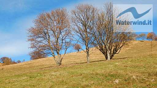 Monte Generoso: immagine 5 di 92