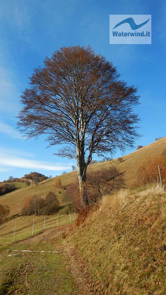 Monte Generoso: immagine 6 di 92