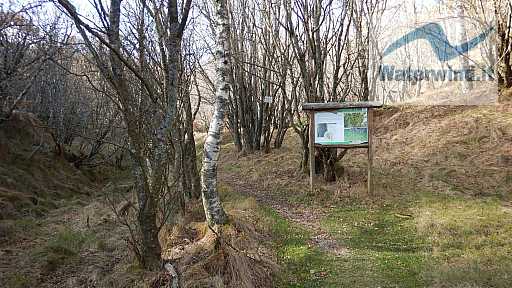 Monte Generoso: immagine 13 di 92