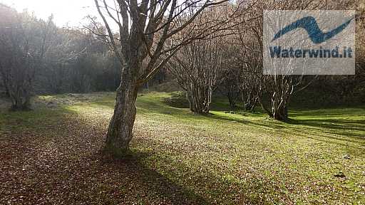 Monte Generoso: immagine 14 di 92