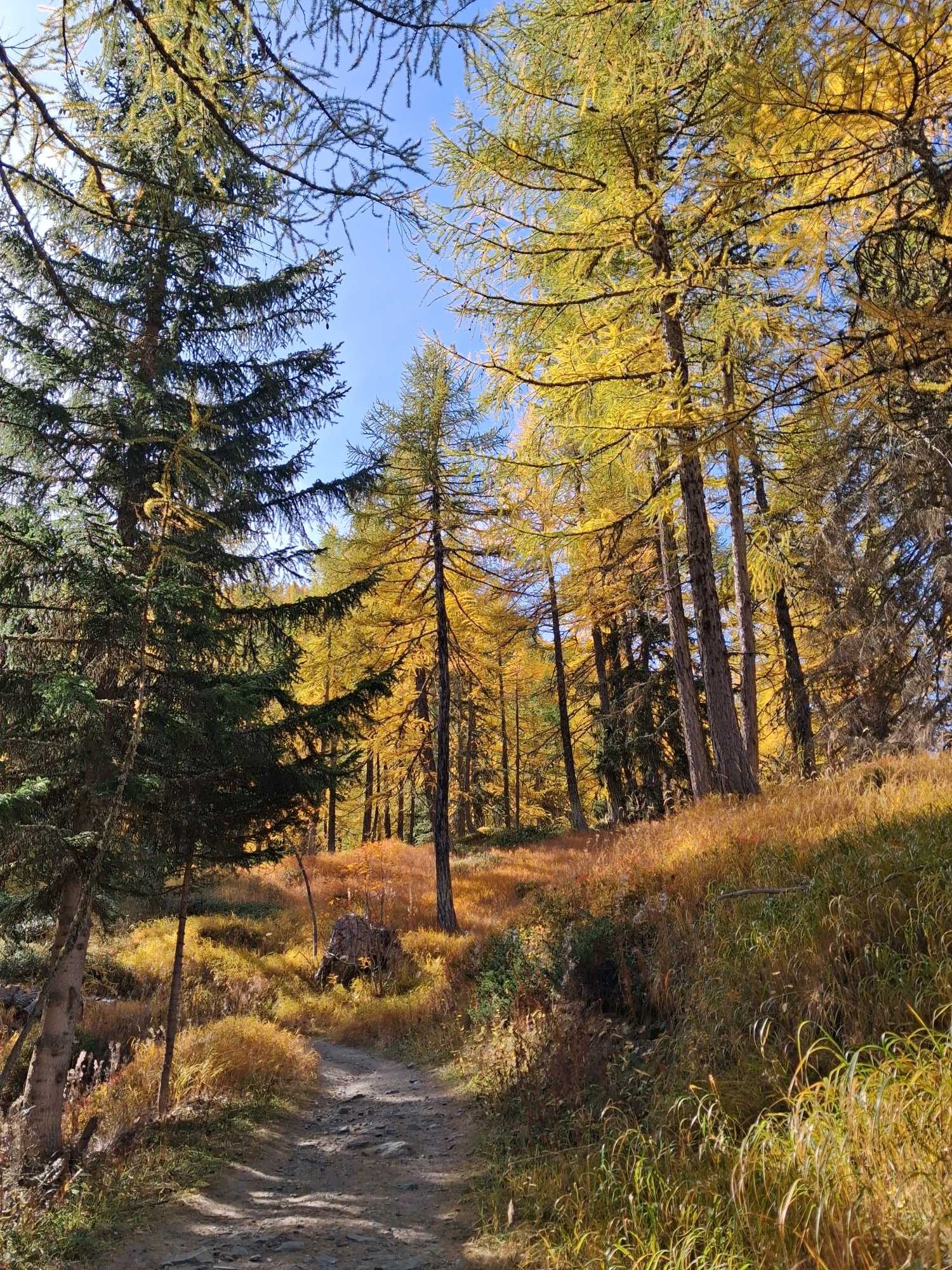 Trekking: from the Genzianella Restaurant to Lake Arpy, and to Punta della Croce, Valle d'Aosta. 20261017 113300