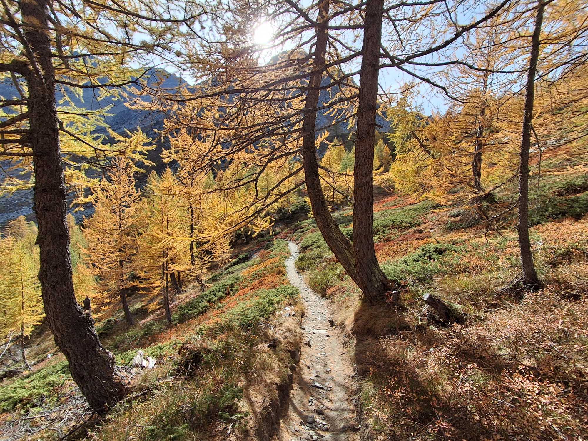 Trekking: from the Genzianella Restaurant to Lake Arpy, and to Punta della Croce, Valle d'Aosta. 20261017 145654