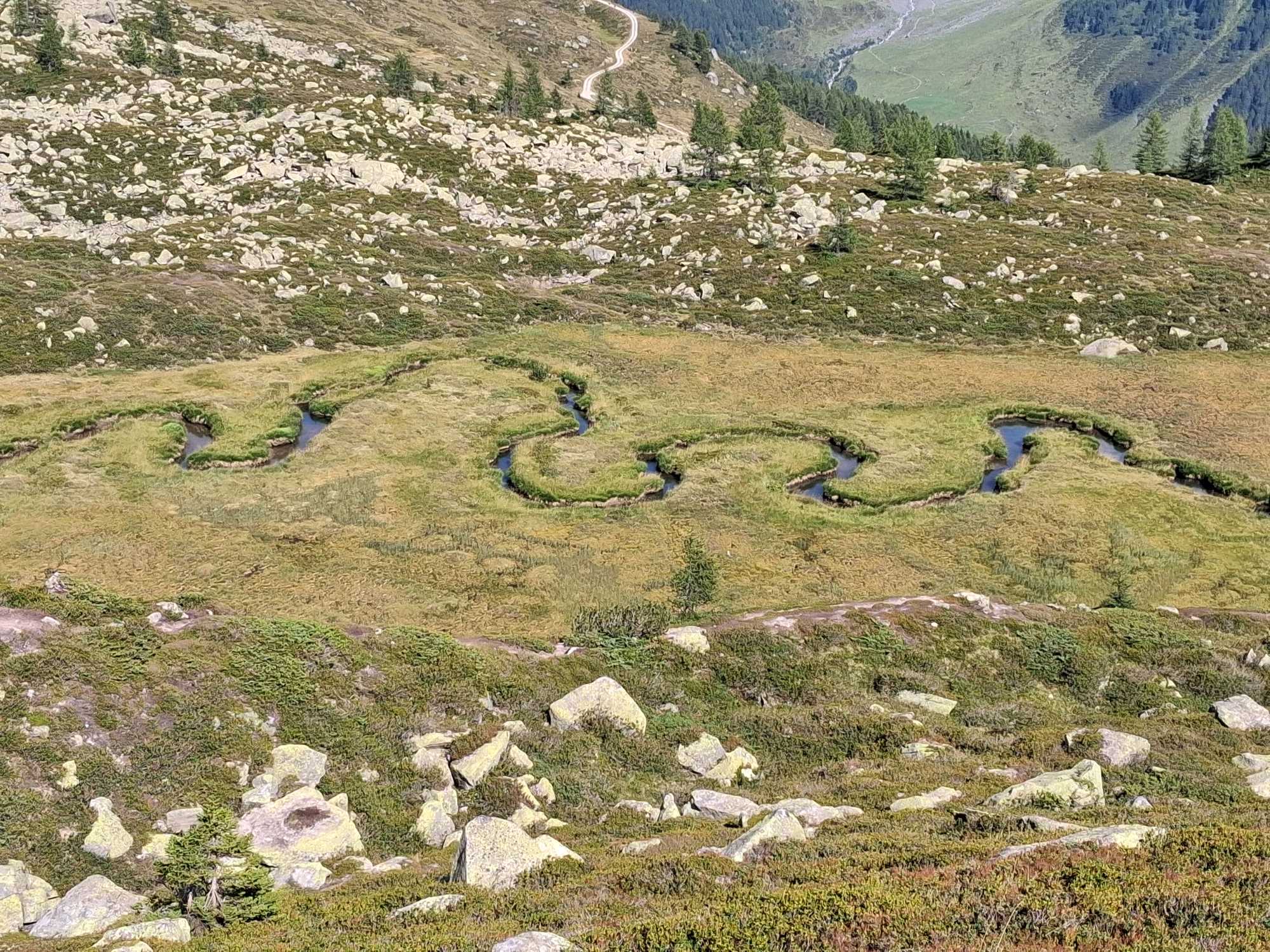 Trekking: Malga e Lago Waldner da Predoi, Valle Aurina, Alto Adige. Il Biotopo Torbiera Wieser-Werfer 20260812 161934